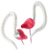 Tai nghe Yurbuds Focus for Women_small 0