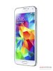 Samsung Galaxy S5 (Galaxy S V / SM-G900K / SM-G900L / SM-G900S) 16GB White_small 2