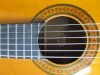 Torres - Classic Guitar_small 1