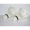 BestFire® 2 Pcs Brand New LED Badminton Shuttlecock Dark Night Glow Birdies Lighting For Indoor Sports Activities_small 0