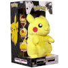 Reversible Plush B&W Series #2 Pikachu Into Poké Ball ~8"_small 3