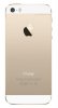 Apple iPhone 5S 64GB Gold (Bản Unlock)_small 1