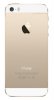Apple iPhone 5S 64GB Gold (Bản quốc tế)_small 3
