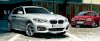 BMW Series 1 116d 1.5 MT 2015 5 Cửa - Ảnh 2