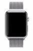 Đồng hồ thông minh Apple Watch 38mm Stainless Steel Case with Milanese Loop_small 1