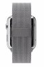 Đồng hồ thông minh Apple Watch 38mm Stainless Steel Case with Milanese Loop_small 3