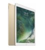 Apple iPad Pro 12.9 inch 128GB WiFi 4G Cellular - Gold_small 0