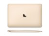 Apple Macbook 12 (MNYK25) (Mid 2017) (Intel Core i7 1.4GHz, 16GB RAM, 256GB SSD, VGA Intel HD Graphics 615, 12 inch, Mac OS X Sierra) Gold_small 1