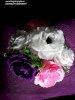 Hoa Mẫu Đơn tông màu tím - Ảnh 2