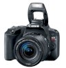 Máy ảnh số chuyên dụng Canon EOS Rebel SL2 (EOS 200D / Kiss X9) (EF-S 18-55mm F4-5.6 IS STM) Lens Kit - Ảnh 4