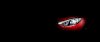 Thaco Kia Cerato Koup 2.0 AT 2017 - Ảnh 2