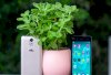 Điện thoại Wiko Kenny (Gray)_small 1