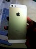 Apple iPhone 5S 64GB Gold (Bản Unlock)
