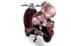 Xe máy điện Dibao Vip Rider_small 3