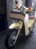 Dealim Little cub 50cc 