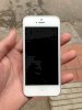 Apple iPhone 5 64GB White (Bản Unlock)