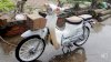 Little Cub 50cc vàng Cam