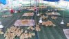 Lưới an toàn nhựa lót sàn nuôi gia cầm IMG Việt Nam - Ảnh 4