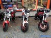 Xe máy Ducati Mini Monster 110 - Ảnh 2
