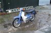 Honda Super Cub 50 2013 ( Xanh ngọc )