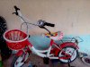 Xe đạp điện trẻ em Nhựa Chợ Lớn M969-X2B 16inch