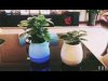 Loa bluetooth kiêm chậu trồng cây kiêm đèn đa màu