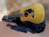 Guitar Acoustic Morris MD-507