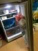 Tủ lạnh Samsung 208 lít RT19M300BGS/SV
