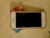 Apple iPhone 5 16GB White (Bản quốc tế)