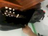 Guitar Acoustic Brazilian Rosewood