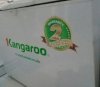 Tủ đông Kangaroo KG428C1