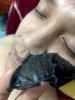 Gel lột mụn Laoshiya Black Head Nose Mask Mud HX1999
