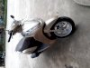 Honda Lead 125cc Fi 2013 ( Màu trắng)