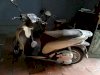 Honda SH125 Mode 2013 Việt Nam (Màu Vàng Nhạt Nâu)