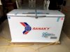 Tủ đông Sanaky VH-4099W3
