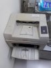Fuji Xerox Phaser 3124 (NEW)