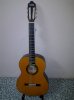 Guitar Acoustic Morris W-30