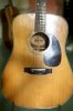 Guitar Acoustic Morris W-30