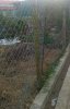 Lưới rào thép b40 2,4m