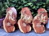 Bộ tranh chữ Phúc Lộc thọ gỗ cà te 04 Thế giới mỹ nghệ - Ảnh 2