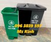 Thùng rác nhựa 2 ngăn 20 lít đạp chân phân loại rác_small 2