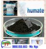 Sodium Humate (Natri humate) - Ảnh 3