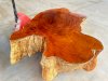 Mặt bàn gốc cây gỗ gõ đỏ Pachy- Gỗ Việt Bắc - Ảnh 3
