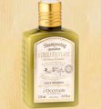 Olive Daily Shampoo (250ml ) - Dầu gội hàng ngày chiết xuất dầu oliu (L'occitane)