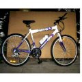 Xe đạp FC020
