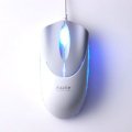Razer Pro|Solution V1.6 Mouse