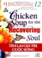Chicken Soup For The Recovering Soul - Tập 12: Tìm Lại Giá Trị Cuộc Sống