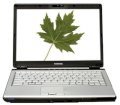 Toshiba Satellite U305-S2806 (Intel Core 2 Duo T5450 1.66GHz, 2GB RAM, 160GB HDD, VGA Intel GMA X3100, 13.3 inch, Windows Vista Home Premium)