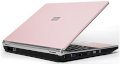 Axioo Zetta TEN 612P(Pink) (Intel Pentium Dual Core T2330 1.6GHz, 1GB Ram, 120GB HDD, VGA Intel GMA X3100, 13.3 inch, PC DOS)