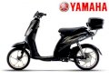 Yamaha METIS J